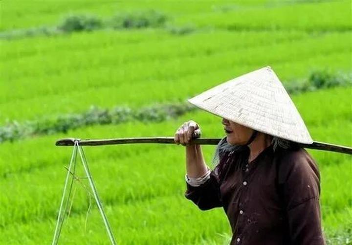 Chuyên gia Hotspot Matrix phân tích: Quá khứ từng bị chèn ép của và marketing video