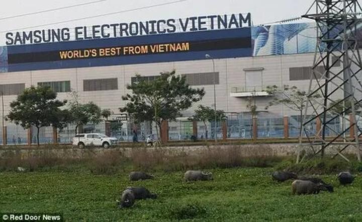 Tỏa Sáng Ngành Làm Đẹp: Xây Dựng Thương Hiệu Cá Nhân Với Hotspot Matrix