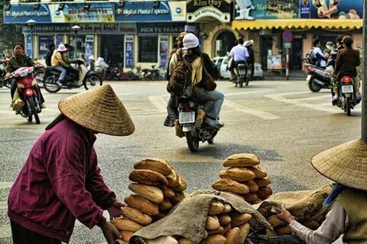 Vàng từ những khoảnh khắc đáng yêu: Kiếm tiền từ thú cưng cùng Hotspot Matrix