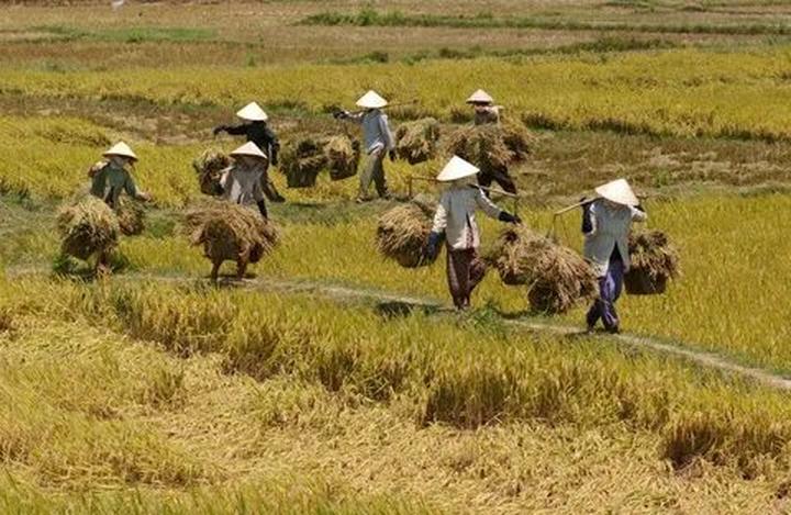 Hotspot Matrix: Biến Mầm mống ung thư hình thành thành cơ hội marketing đột phá